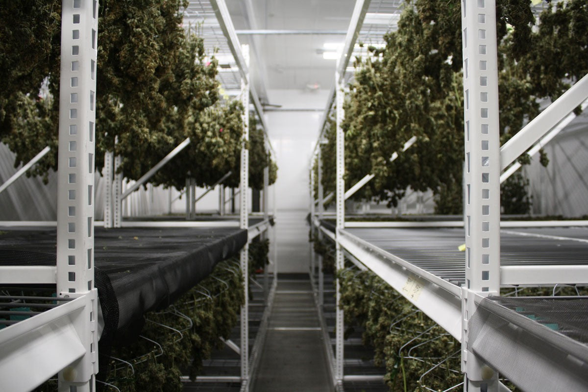 Five Tips for Building a Drying Room in Your Dispensary