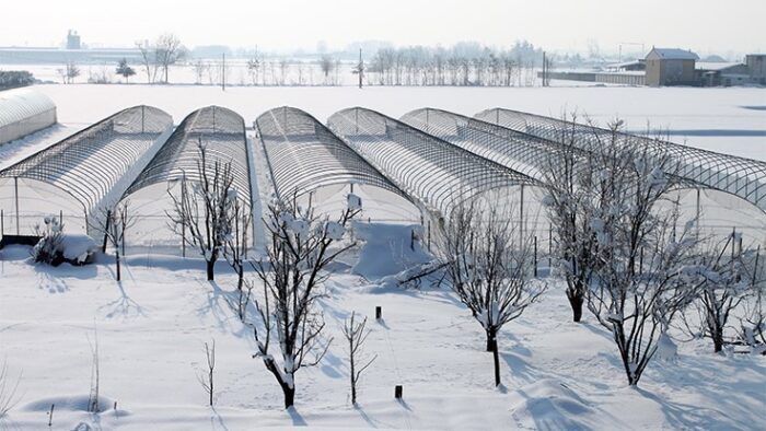 Five Tips for Winterizing Your Greenhouse