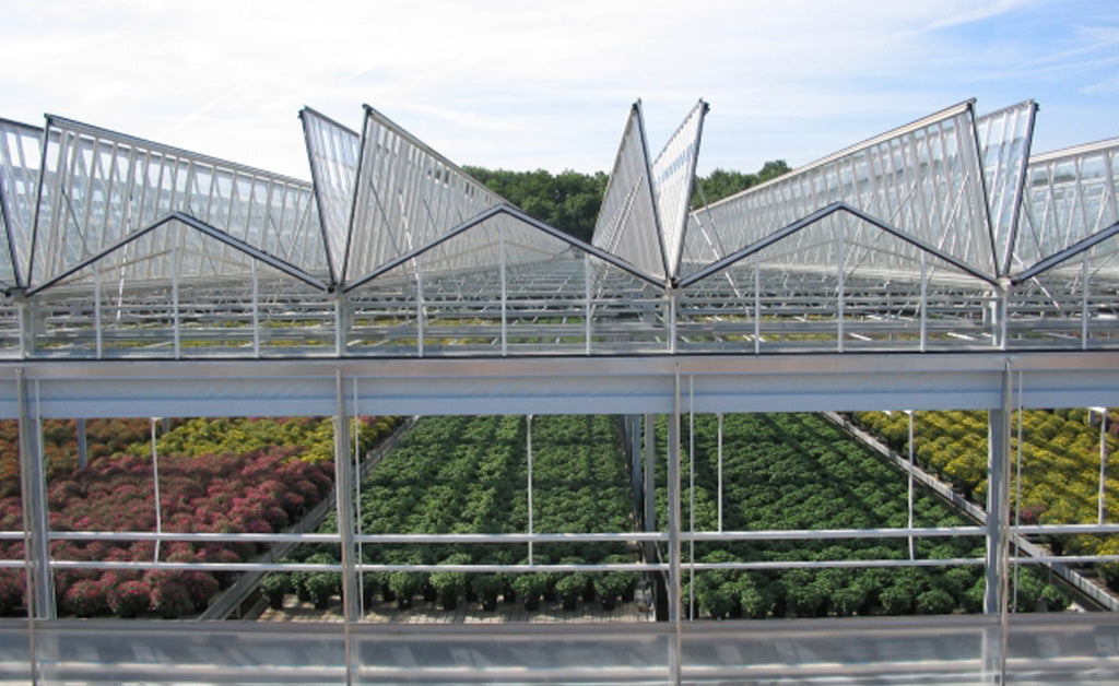 Five Shelves Every Greenhouse Needs