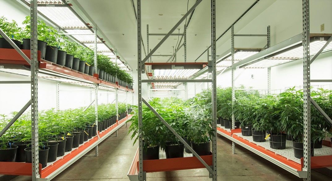 greenhouse shelving racks