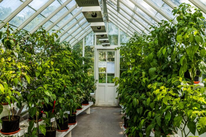 greenhouse storage